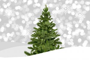 Weihnachtszinsen