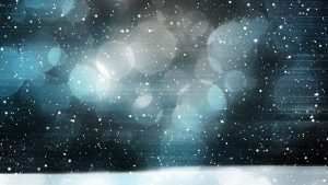 Weihnachtszinsen